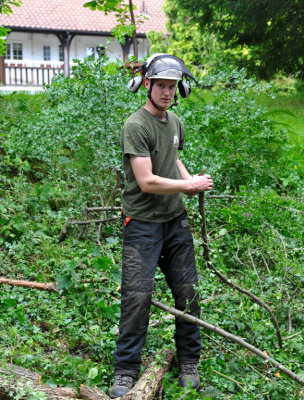 TreeSurgery280612_ b107.jpg