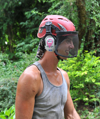 TreeSurgery280612_ b108.jpg