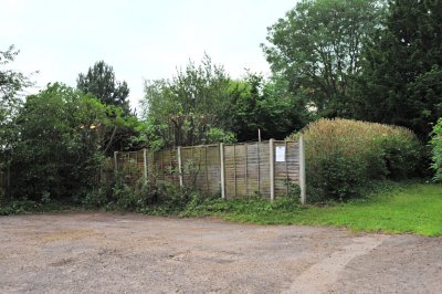 TreeSurgery280612_ b128.jpg