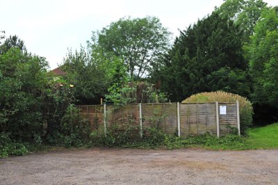 TreeSurgery280612_ b129.jpg