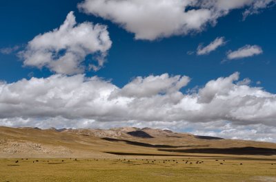 The Great Tibetian Plain