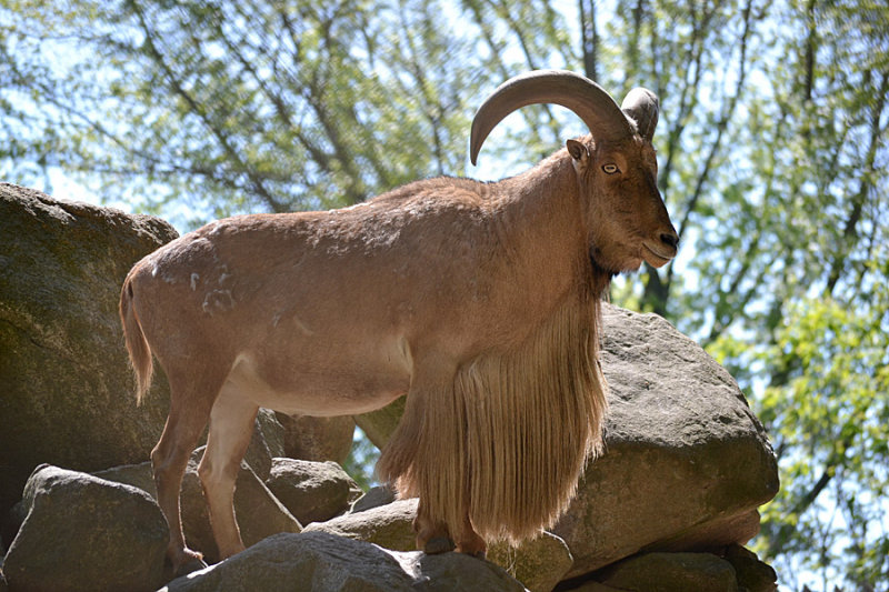 DSC_0023a.jpg