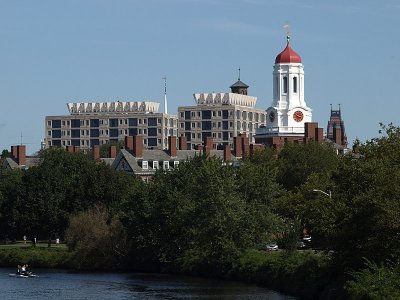 P9103826a.jpg