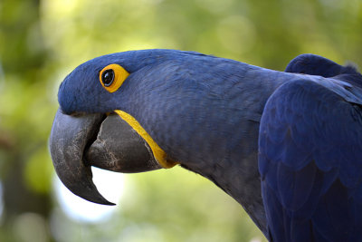 DSC_0138a.jpg