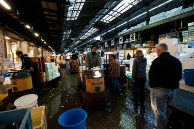 Dodging Traffic At Tsukiji