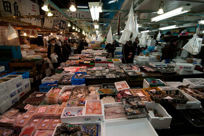 Tsukiji Wholesale