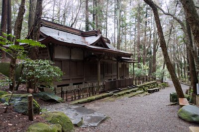 Forest Building