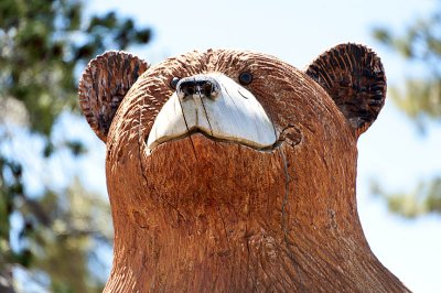 Smiling Bear