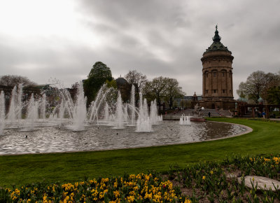 DSC_6254
