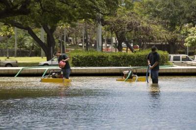 Capitol Pond Cleanup