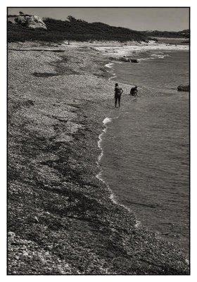 Beachcombing