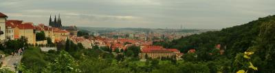 The View From Castle Hill