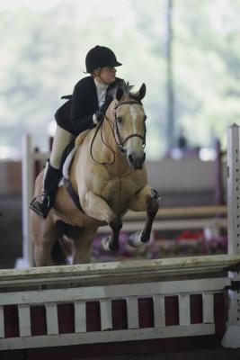 g4/04/241304/3/61022637.Jumper10.jpg