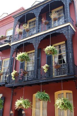 New Orleans    More pictures here 