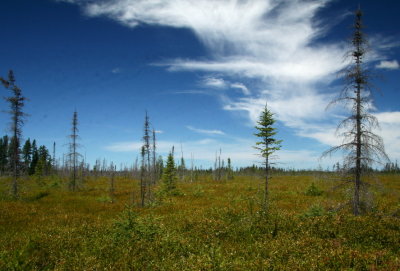 Parc pointe taillon. Mais oui karine, le bleu est naturel garce au filtre polarisateur.