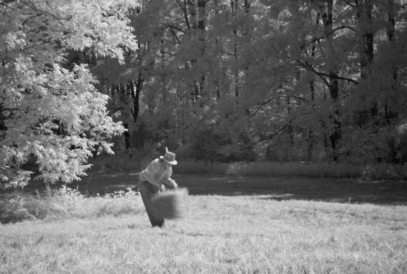 Hay Harvest