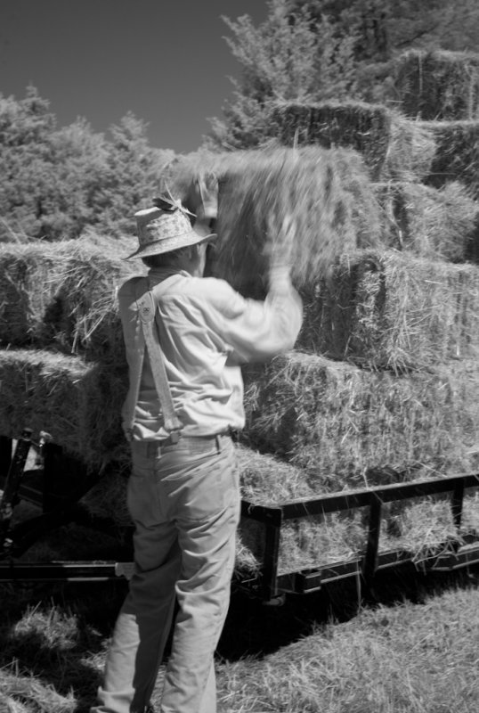 Loading Hay, 3