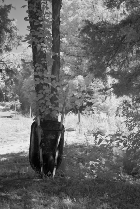 Wheelbarrow
