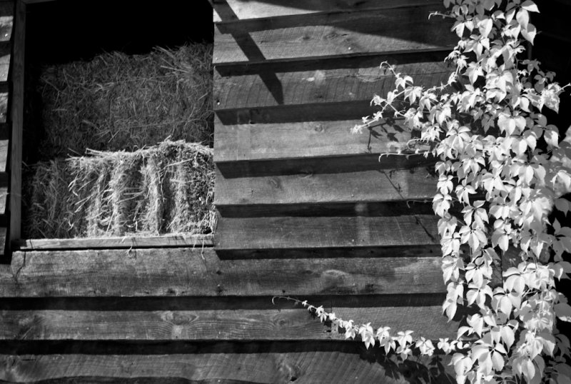Barn and Hay Bales
