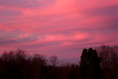 Sunset at the Farm, I