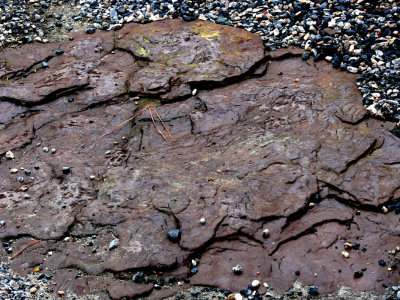 Interesting Rocks on Walkway