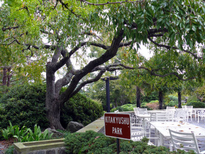 Dining Canopy