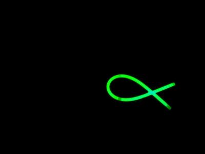 52 Minimalism/Simplicity : Just a Little Fishy