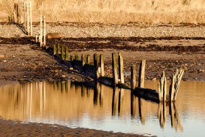 Broughty Ferry.