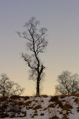 Glen Clova.