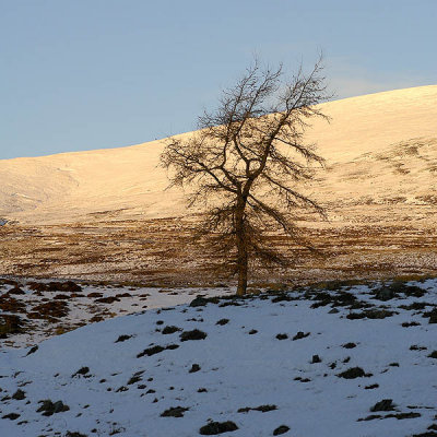 Glen Clova.