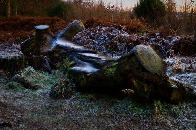 Stumps.