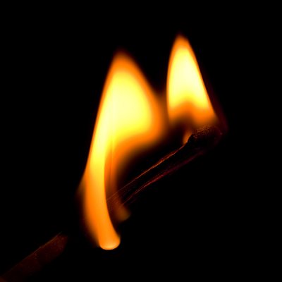 The Flamboyant Stick.