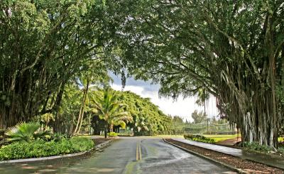 Arriving in Hilo - Big Island