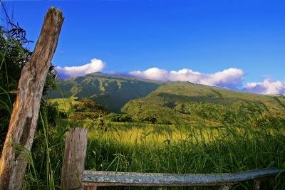 Beyond Hana - Maui