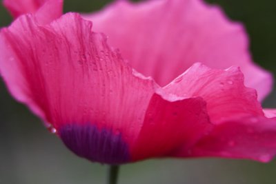 IMG_8940 copy.jpg