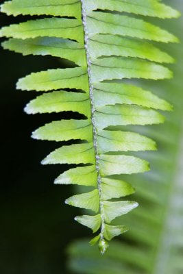 IMG_9056 copy2.jpg