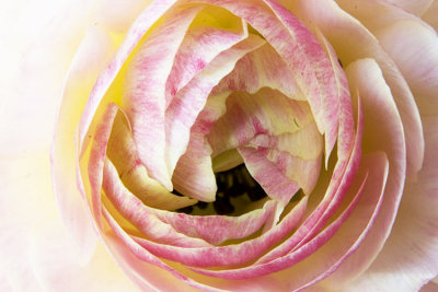 IMG_0032 copy.jpg