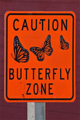 g4/04/451004/3/52447806.CautionSign01.jpg