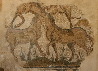 Carthage Museum