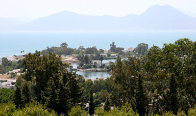 Byrsa Hill