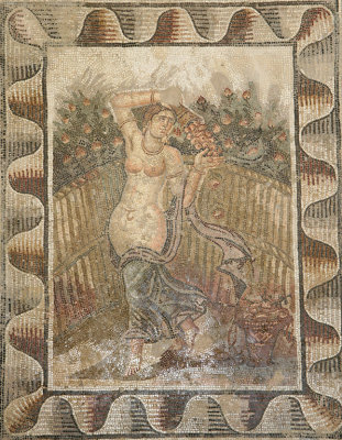 Carthage Museum