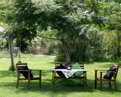 Valentini Olive Farm