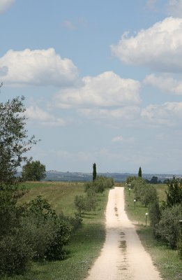 Valentini Olive Farm