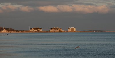 IMG_3185.jpg
