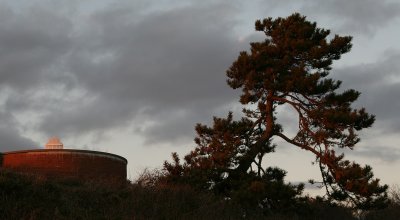 IMG_3204.jpg