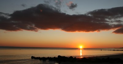 IMG_3206.jpg