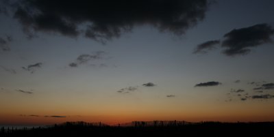 IMG_3221.jpg