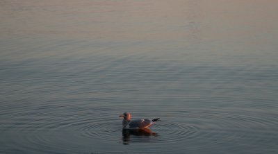 IMG_3203.jpg