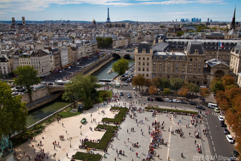 Paris Birds View