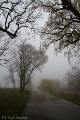 Arc in Fog